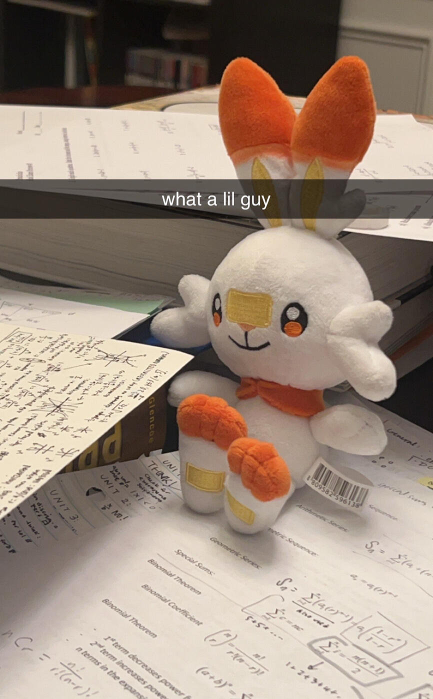 scorbunny keychain my friend got me for 16 !!